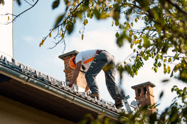 Best Roof Gutter Cleaning  in Vilge St George, LA